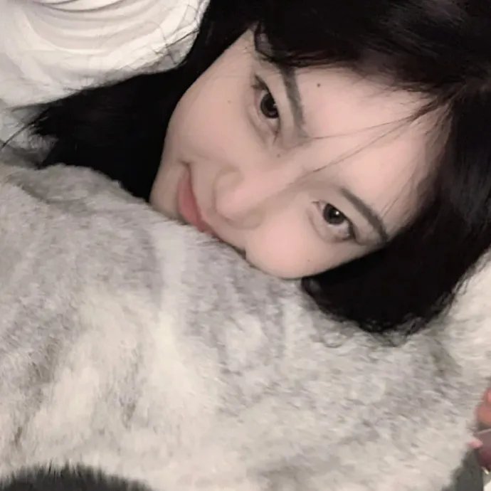 热铁皮屋顶上的猫